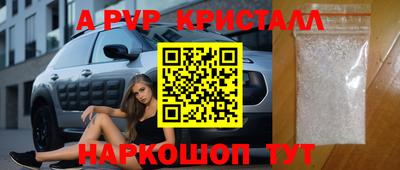 СК Краснознаменск